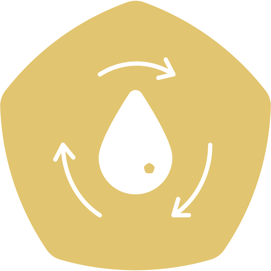 Collect & Reuse Water