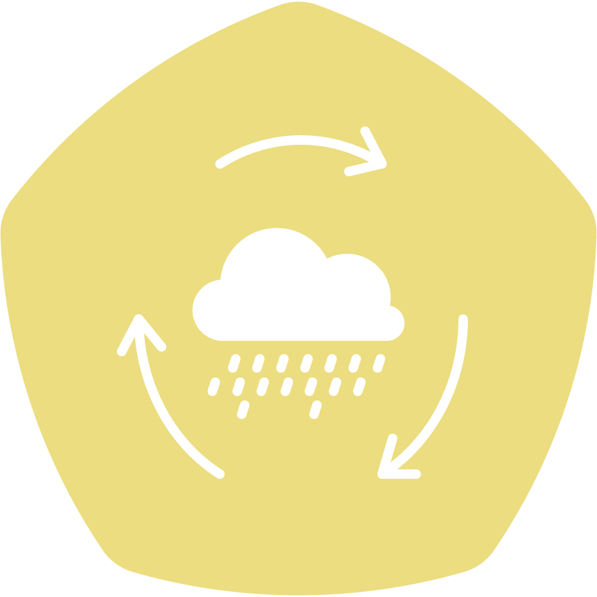 Rainwater Reuse
