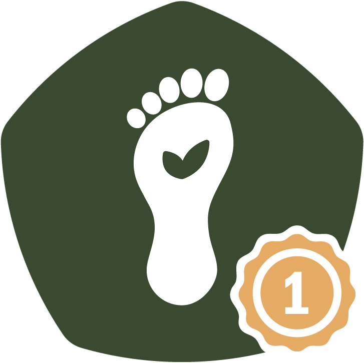 Lowest Carbon Footprint